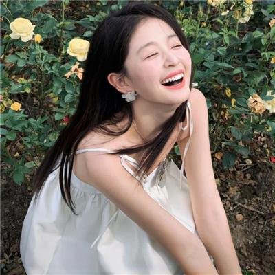 监察局长